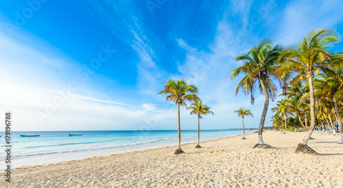 Paradise Beach also called Playa Paraiso at Tulum - sunrise at beautiful and tropical caribbean coast of Tulum in Quintana Roo  Riviera Maya  Mexico