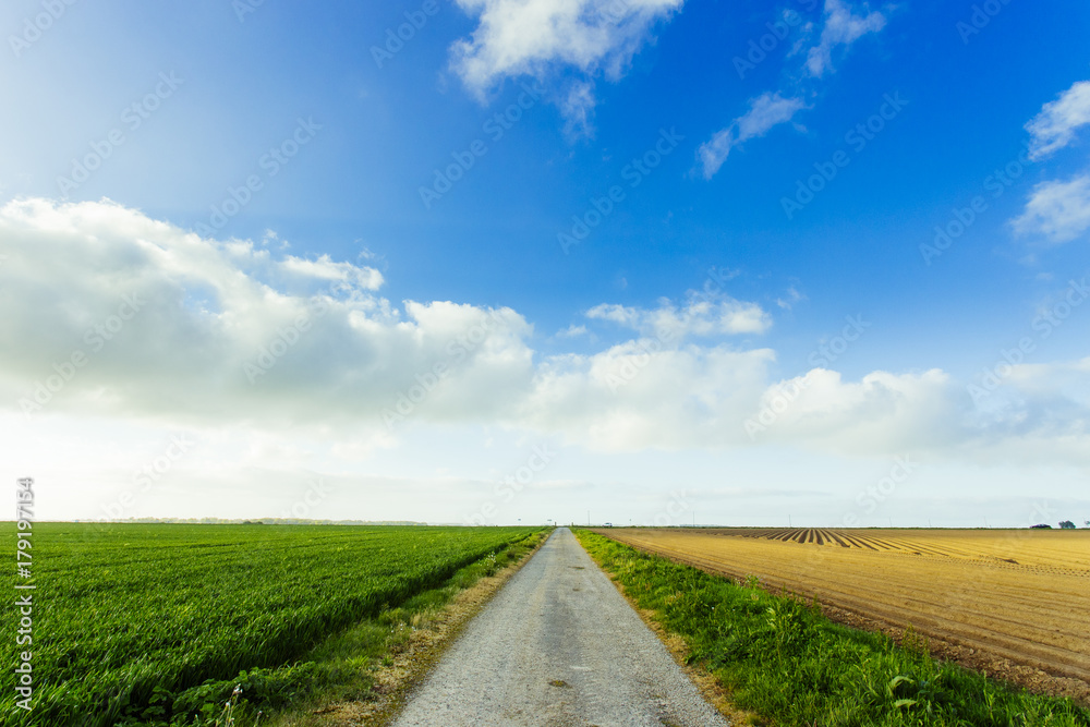Obraz premium Empty asphalt country road passing through green and flowering agricultural fields. Countryside landscape on a sunny spring day in France. Environment friendly farming, industrial agriculture concept