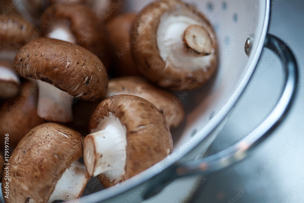 Fresh and clean mushrooms in the colander Fresh and clean mushrooms in the colander