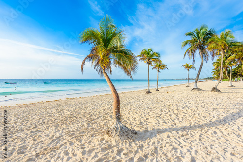 Paradise Beach also called Playa Paraiso at Tulum - sunrise at beautiful and tropical caribbean coast of Tulum in Quintana Roo, Riviera Maya, Mexico © Simon Dannhauer