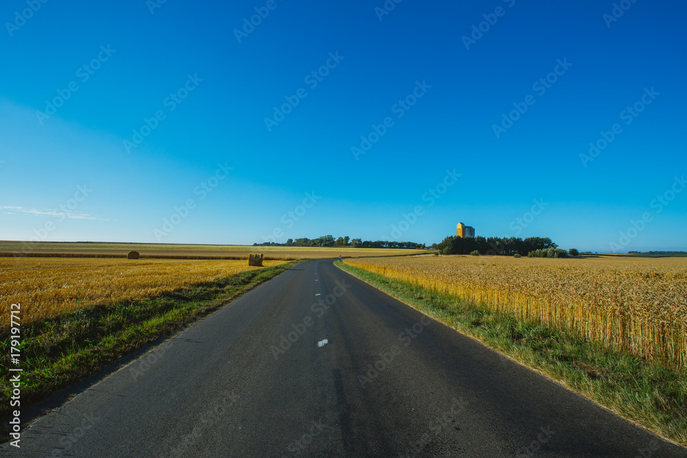 Empty asphalt country road passing through yellow wheat field. Country landscape on a sunny summer day in France. Environment friendly farming and agriculture, harvest season, transportation concept.