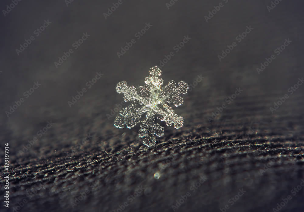 Snowflake beautifull on the grey background Snowflake beautifull on the grey background