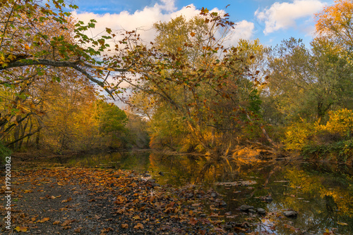 Ramapo River In Autumn