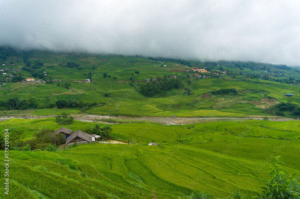 Spectacular rice terraces in Vietnamese countryside