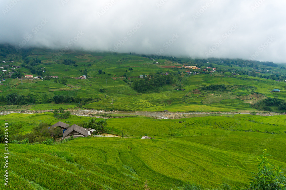 Obraz premium Spectacular rice terraces in Vietnamese countryside