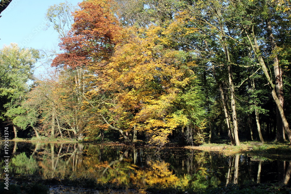 Teich im Schlosspark Paffendorf