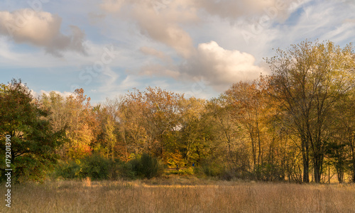 Scarlet Oak Pond In Autumn