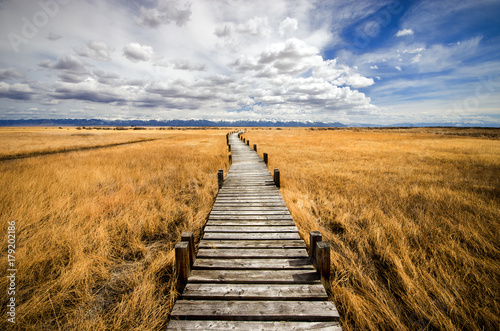 Trail in a Prairie photo