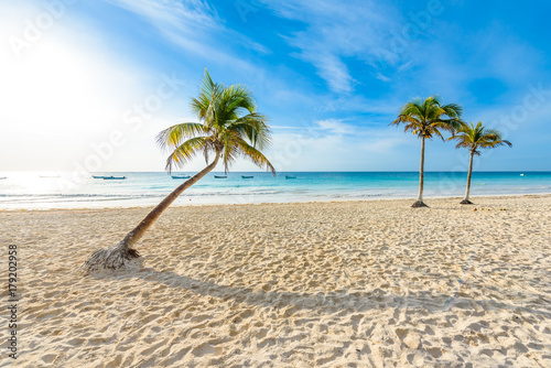 Paradise Beach also called Playa Paraiso at Tulum - sunrise at beautiful and tropical caribbean coast of Tulum in Quintana Roo  Riviera Maya  Mexico