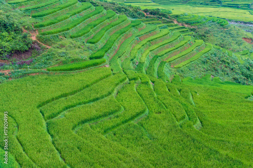 Aerial view on green rice terraces, Nature background