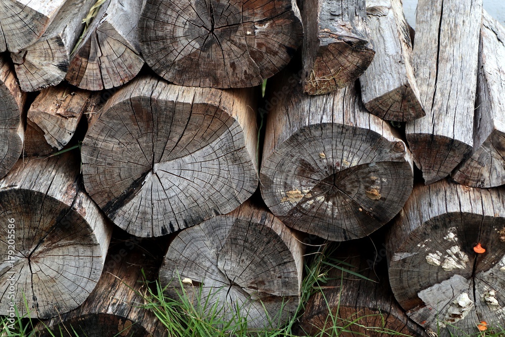 Stack timber on grass Stack timber on grass