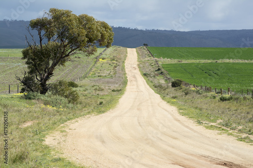 South Australian Country Dirt Roads, Murraylands photo