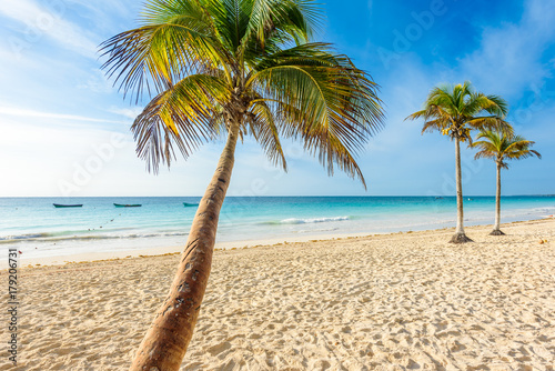 Fototapeta Naklejka Na Ścianę i Meble -  Paradise Beach also called Playa Paraiso at sunrise - beautiful and tropical caribbean coast of Tulum in Quintana Roo, Riviera Maya, Mexico