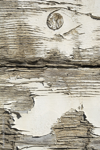 Abstract Textures: Rotting, Peeling, Weathered Wood photo