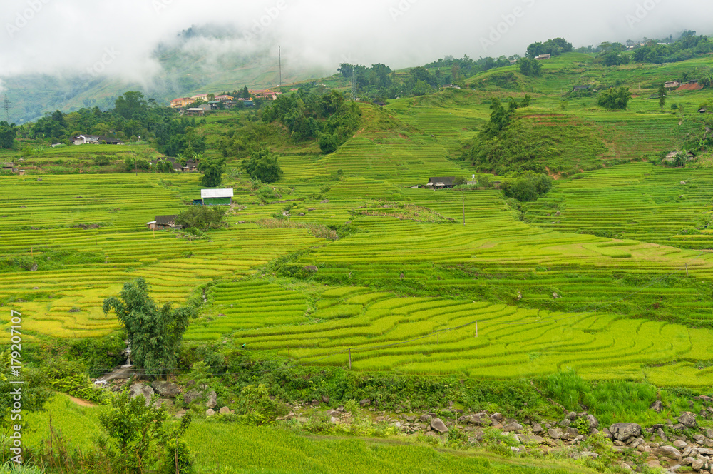 Agriculture scene with green rice terraces