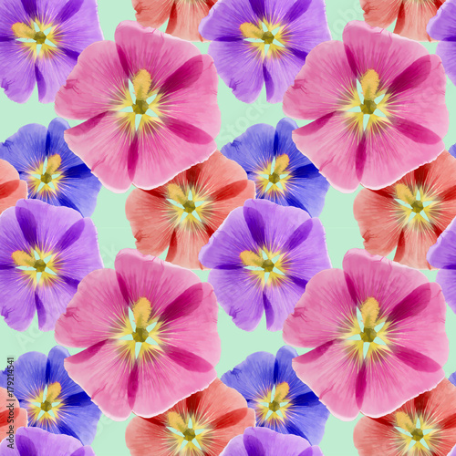 Mallow, malva. Seamless pattern texture of flowers. Floral background, photo collage © svrid79