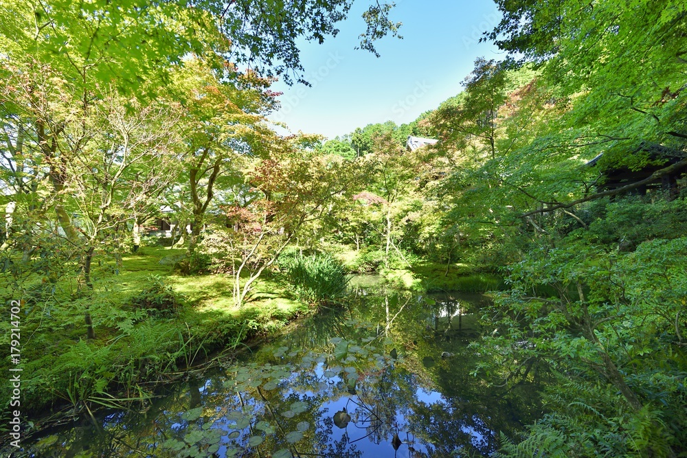 Obraz premium 十牛之庭