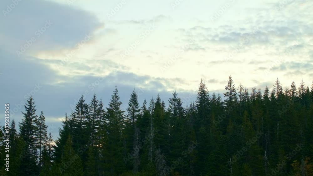 Forest at sunrise Mirror Lake Mt. Hood Oregon Cascades 4 Forest at sunrise Mirror Lake Mt. Hood Oregon Cascades 4