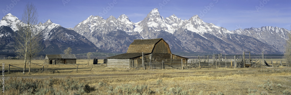 Barn in a field, Grand Teton National Park, Moose, Jackson Hole Valley, Wyoming, USA