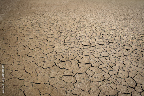 Crack soil on dry season.