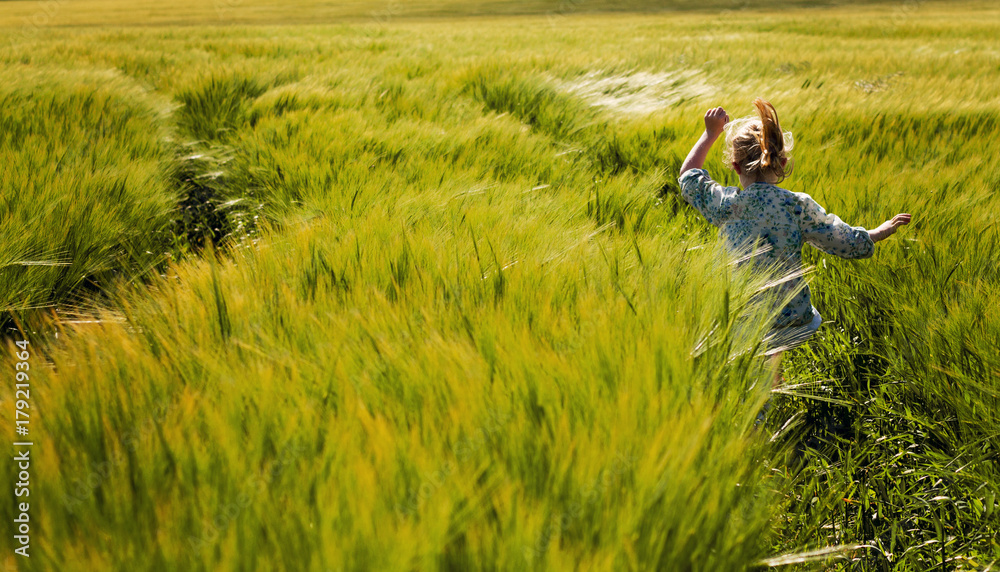Rear view of girl running through the field of barley in summer Rear view of girl running through the field of barley in summer
