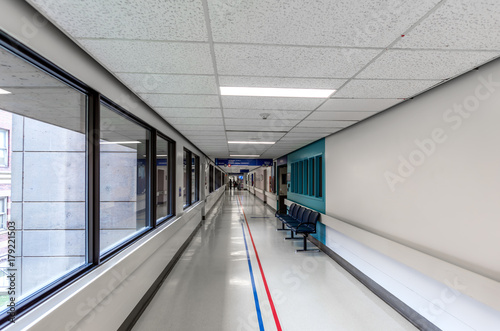Medicine, health, hospital, morgue, X - Ray