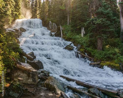 Fast water stream in wild mountain creek in Joffre Lakes Provincial Park green forest landscape. photo