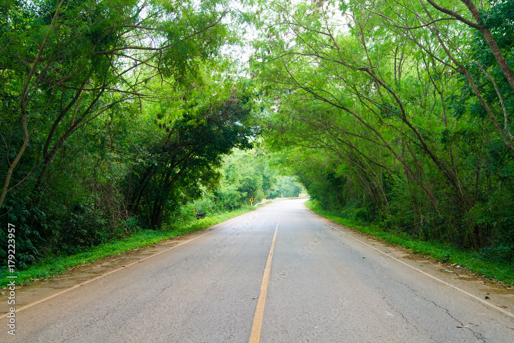 The road on both sides of the road has trees covered.