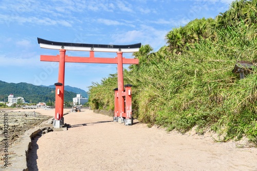 Wallpaper Mural Red Torii Gate at Aoshima Island, Miyazaki Torontodigital.ca