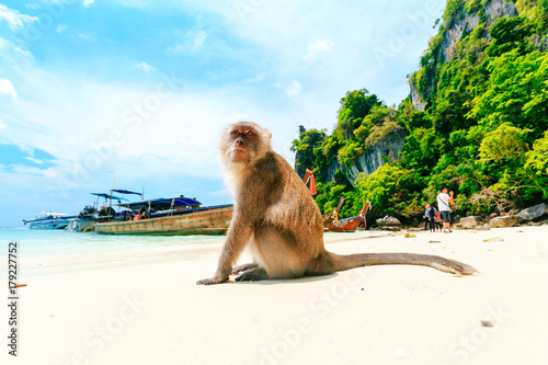 фотография Monkey Beach, Phi Phi Islands, Thailand