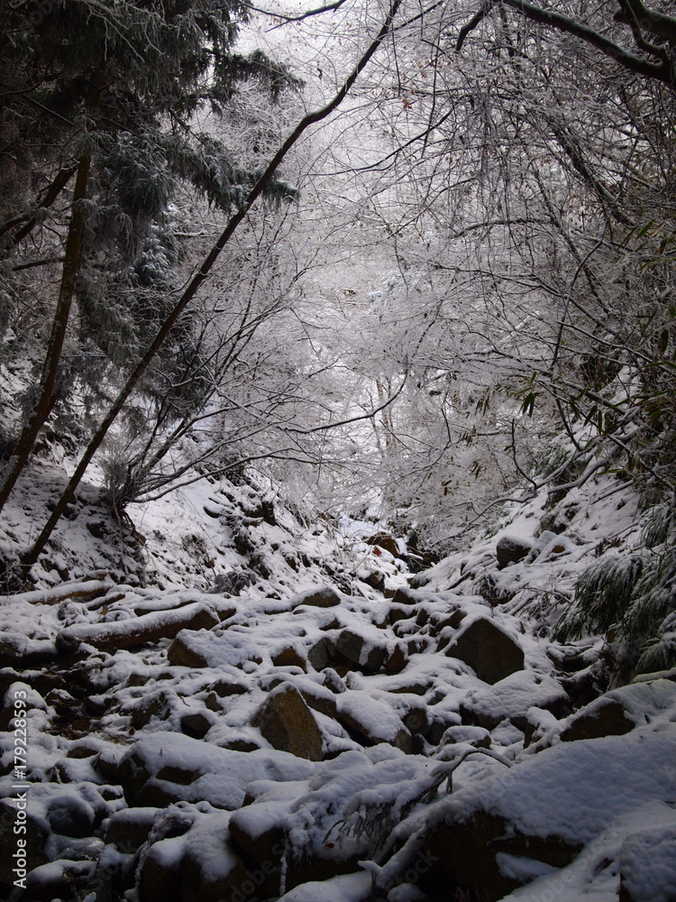 雪の沢谷 雪の沢谷