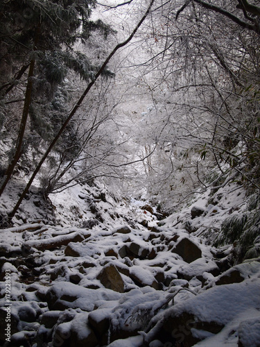 雪の沢谷 © Josiah.S