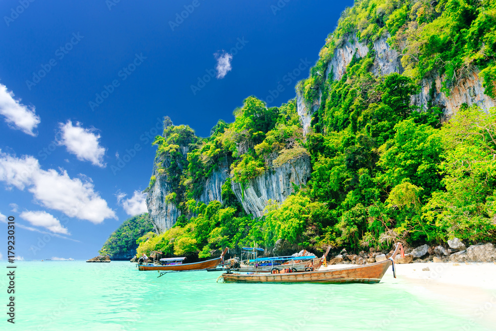 Obraz premium Monkey Beach, Phi Phi Islands, Thailand