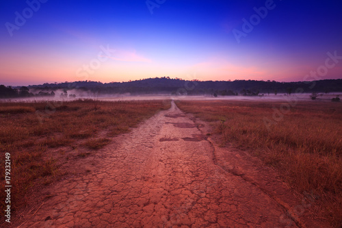 Soil path with field in the morning at  Thung Kamang nature park  Chaiyaphum  Thailand