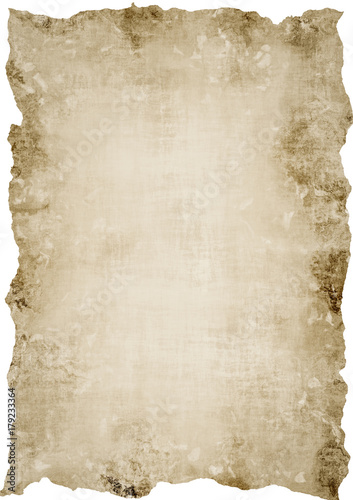 Obraz na płótnie Papyrus Background w salonie