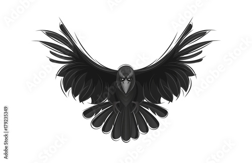 Black raven isolated on white background.