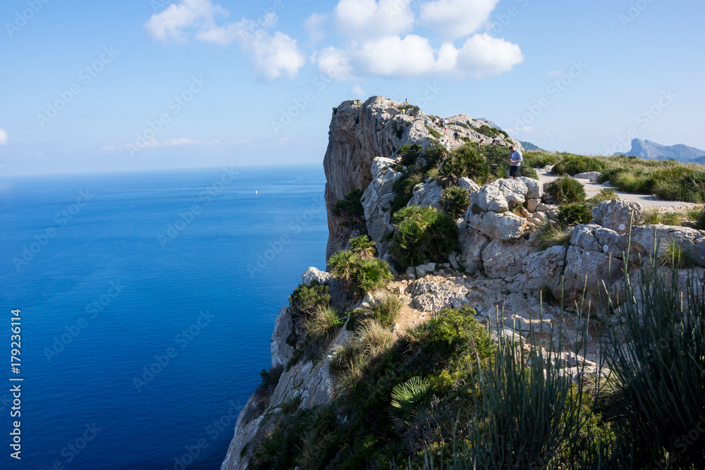 Insel, Mallorca, Spanien, Urlaub, Reisen, Erholung, Strand, Meer, Mittelmeer, Möwe, Tiere, Vögel, Natur, Erlebnis, Abenteuer