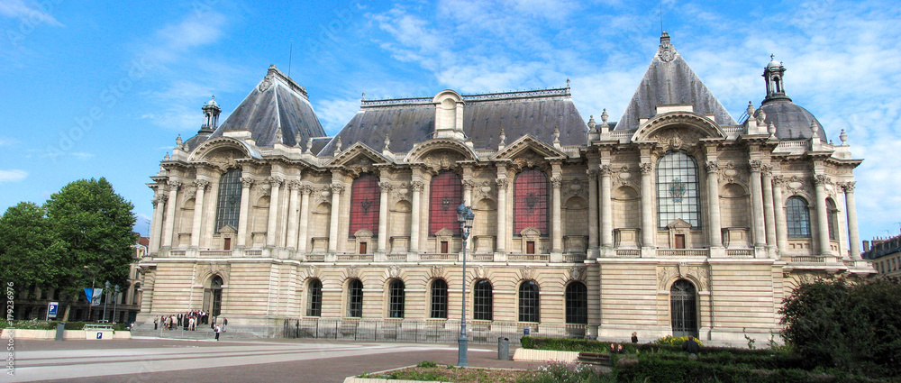 Obraz premium Lille (France) / Musée des Beaux-Arts