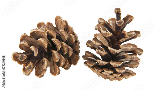 cones isolated on white background closeup