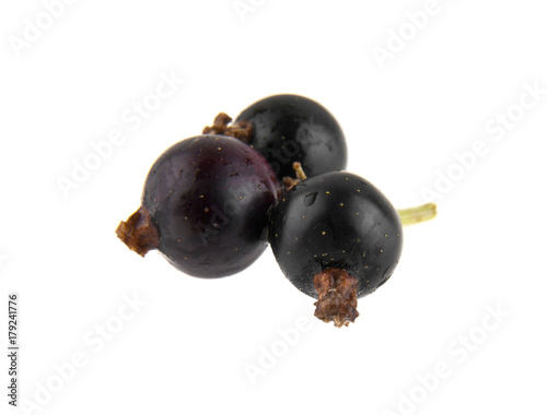 black currant isolated on white background closeup
