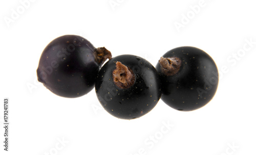 black currant isolated on white background closeup