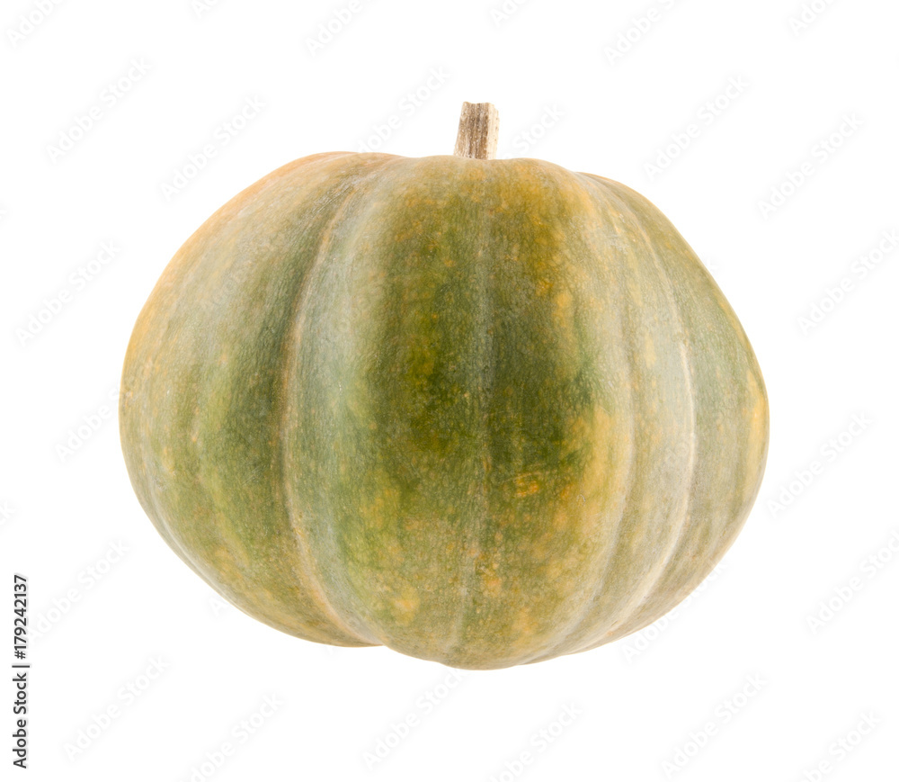 pumpkin isolated on white background closeup pumpkin isolated on white background closeup
