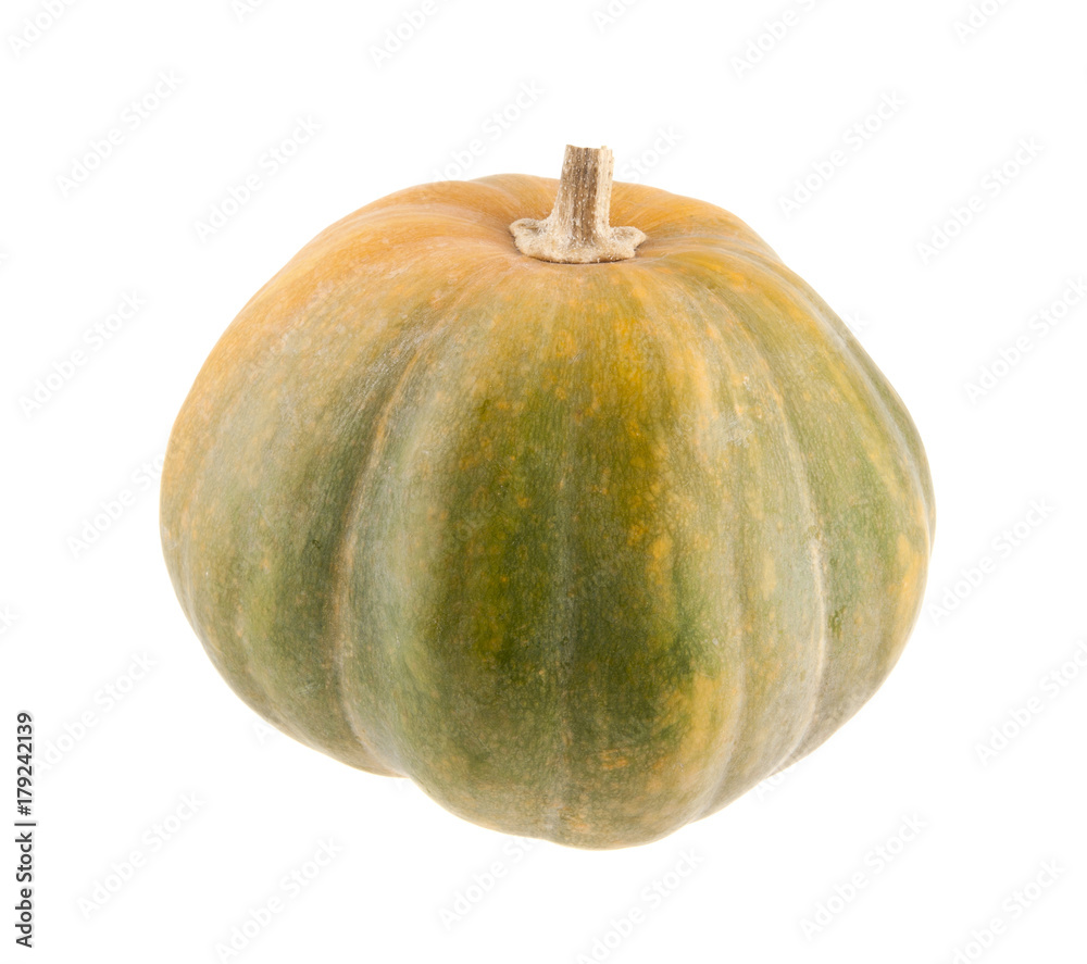 pumpkin isolated on white background closeup pumpkin isolated on white background closeup