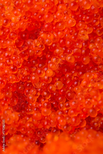 japanese cuisine. salmon roe on the background