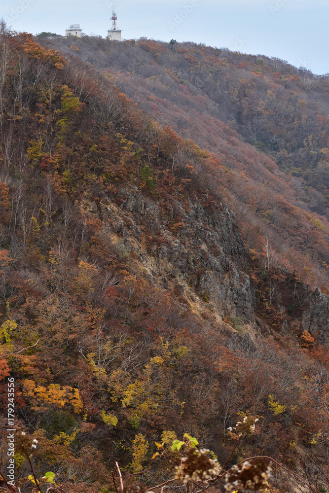 紅葉終盤の函館山