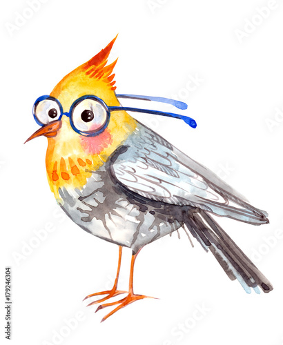 bird with glasses