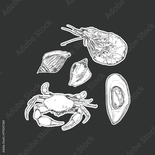 set of seafood ,isolated vector.