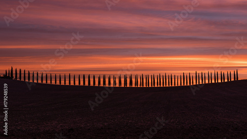 Cypress alley in Tuscany  evening in Tuscany. Tuscany Landscape in autumn  Cypress alley in Tuscany  colorful sunset in Tuscany. Alley in the colorful sky.