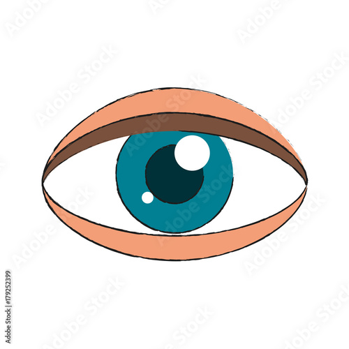 Human eye isolated icon vector illustration graphic design
