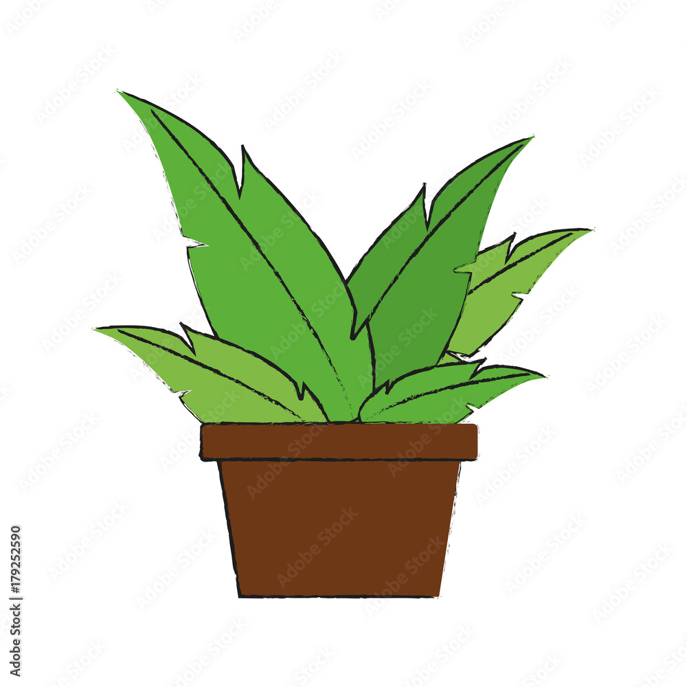 Plant in vase icon vector illustration graphic design Plant in vase icon vector illustration graphic design